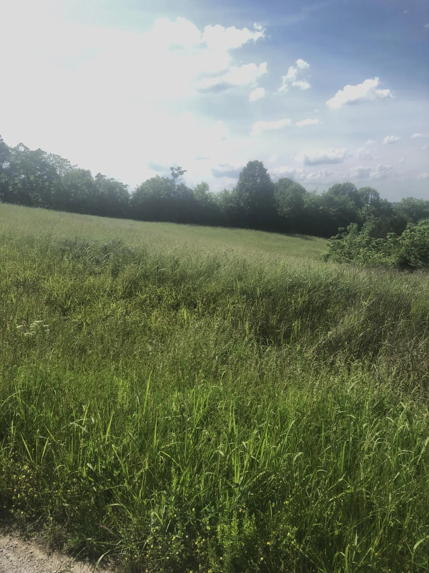 Photo of Listing #24010192