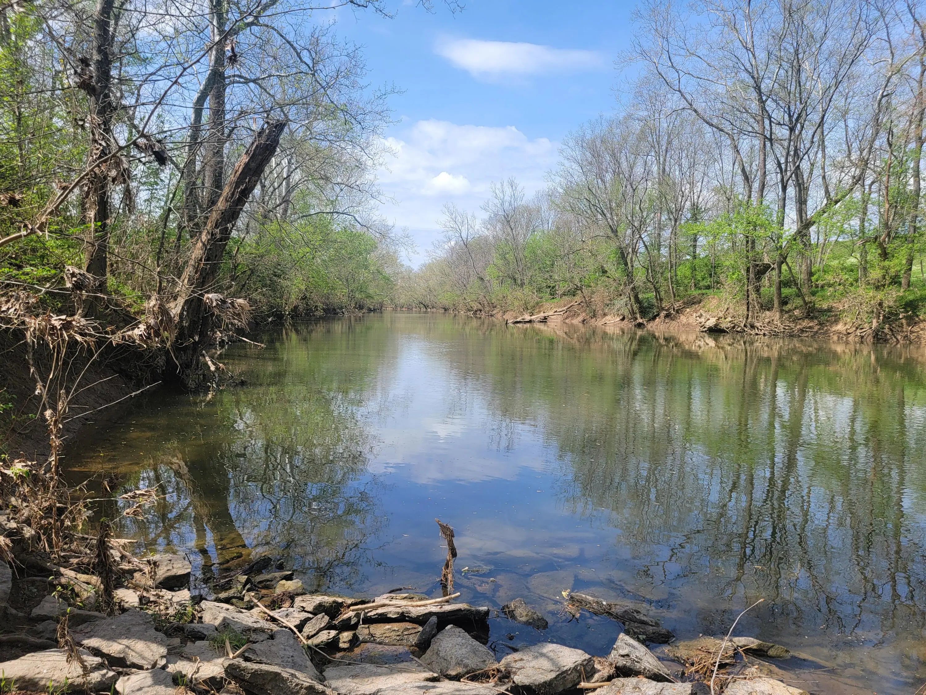 Photo of Listing #25010348