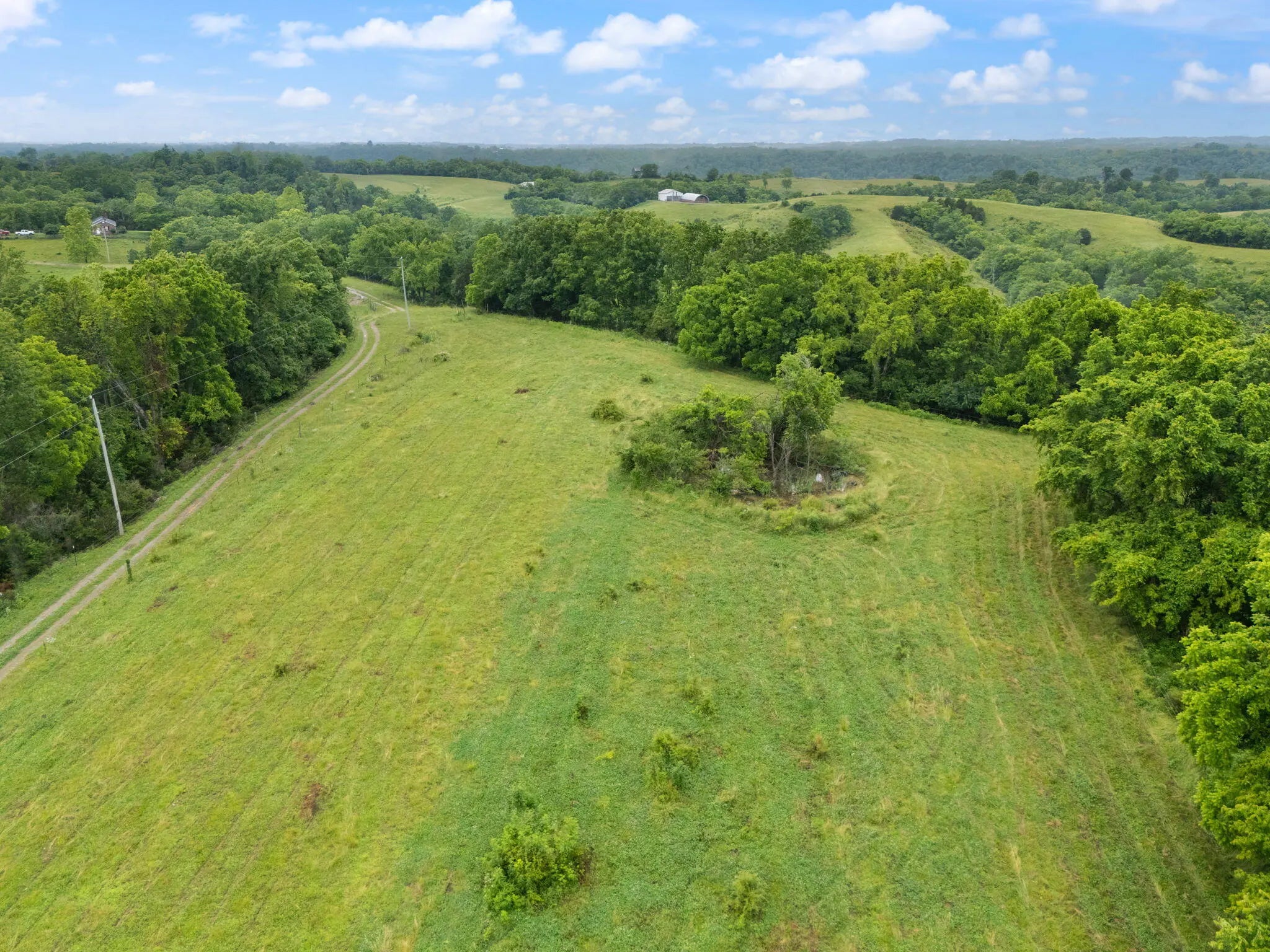 Photo of Listing #25012695