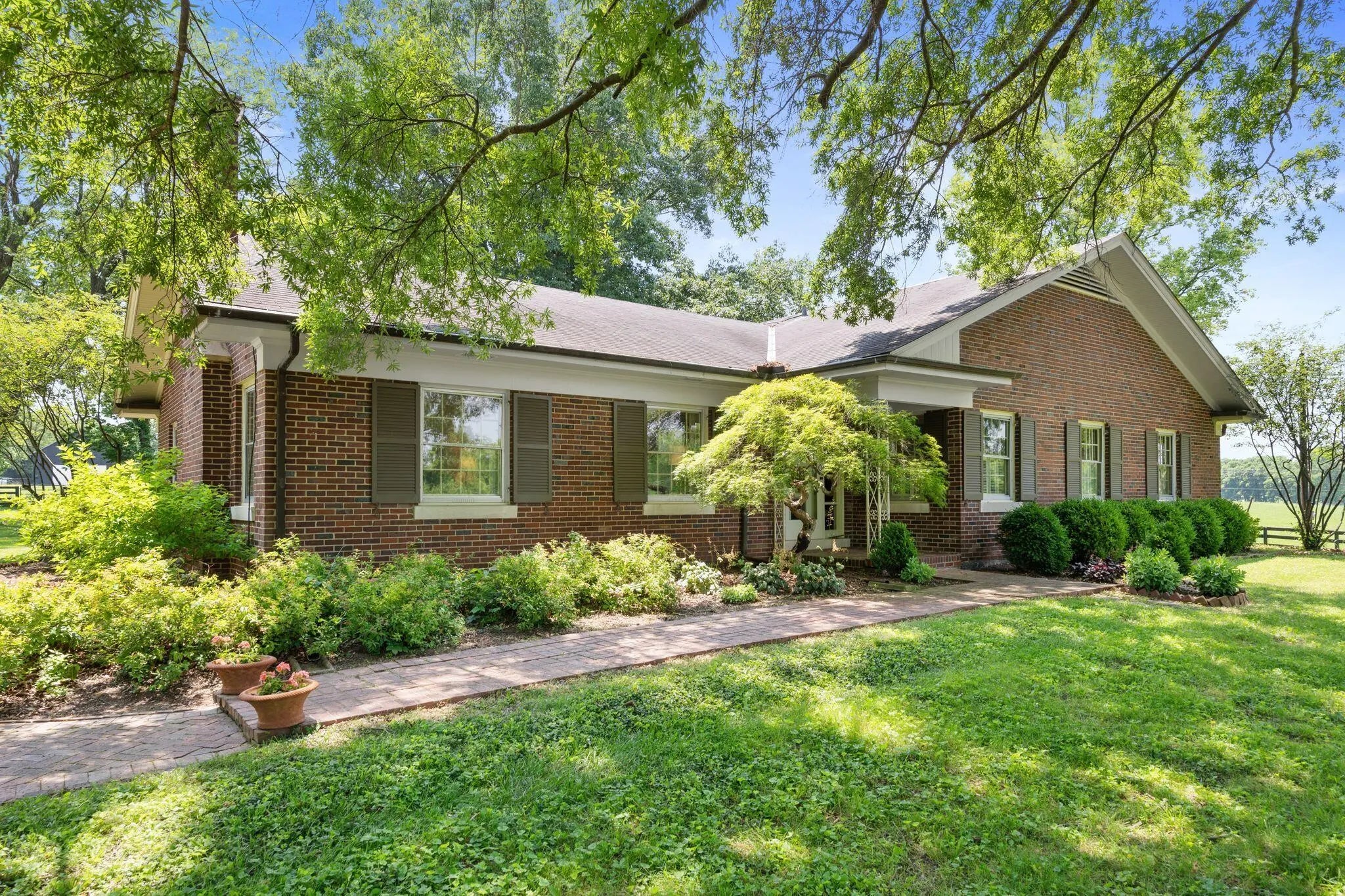 Photo of Listing #25012197