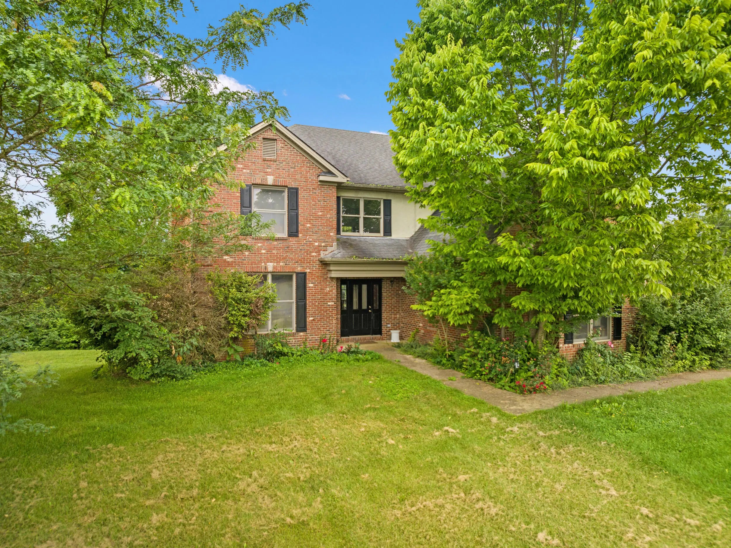 Photo of Listing #25013743