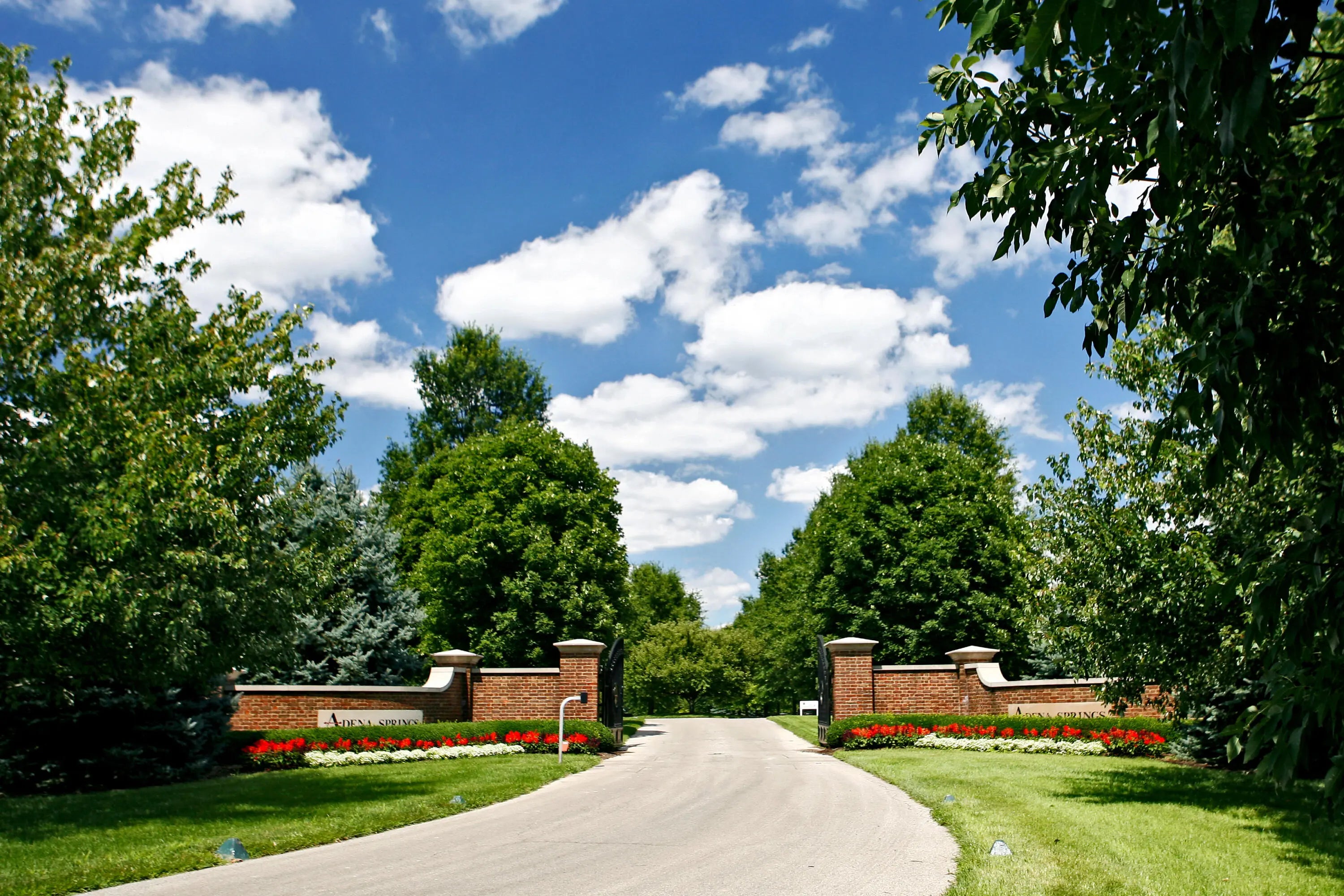 Photo of Listing #25012207