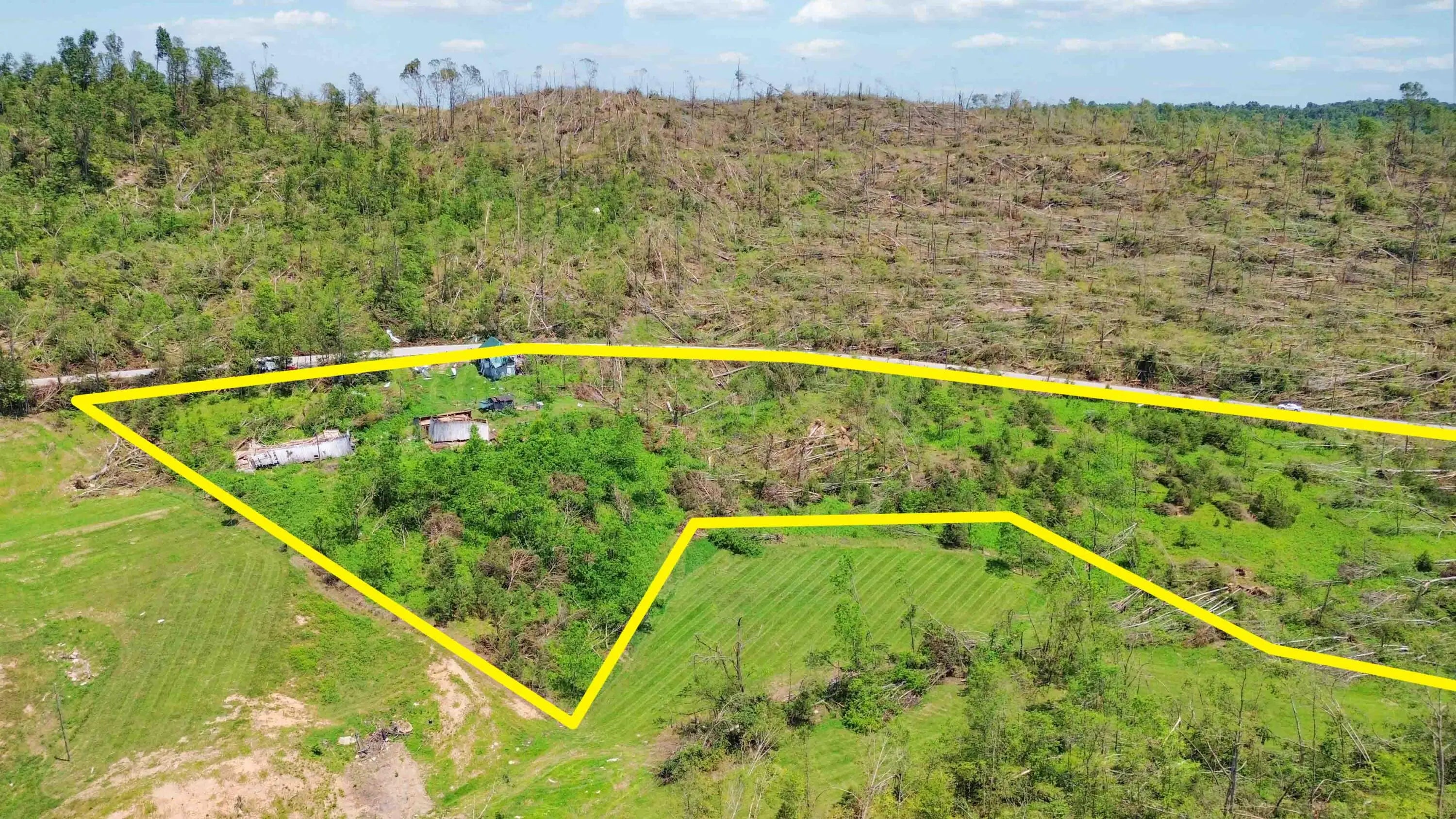 Photo of Listing #25011822