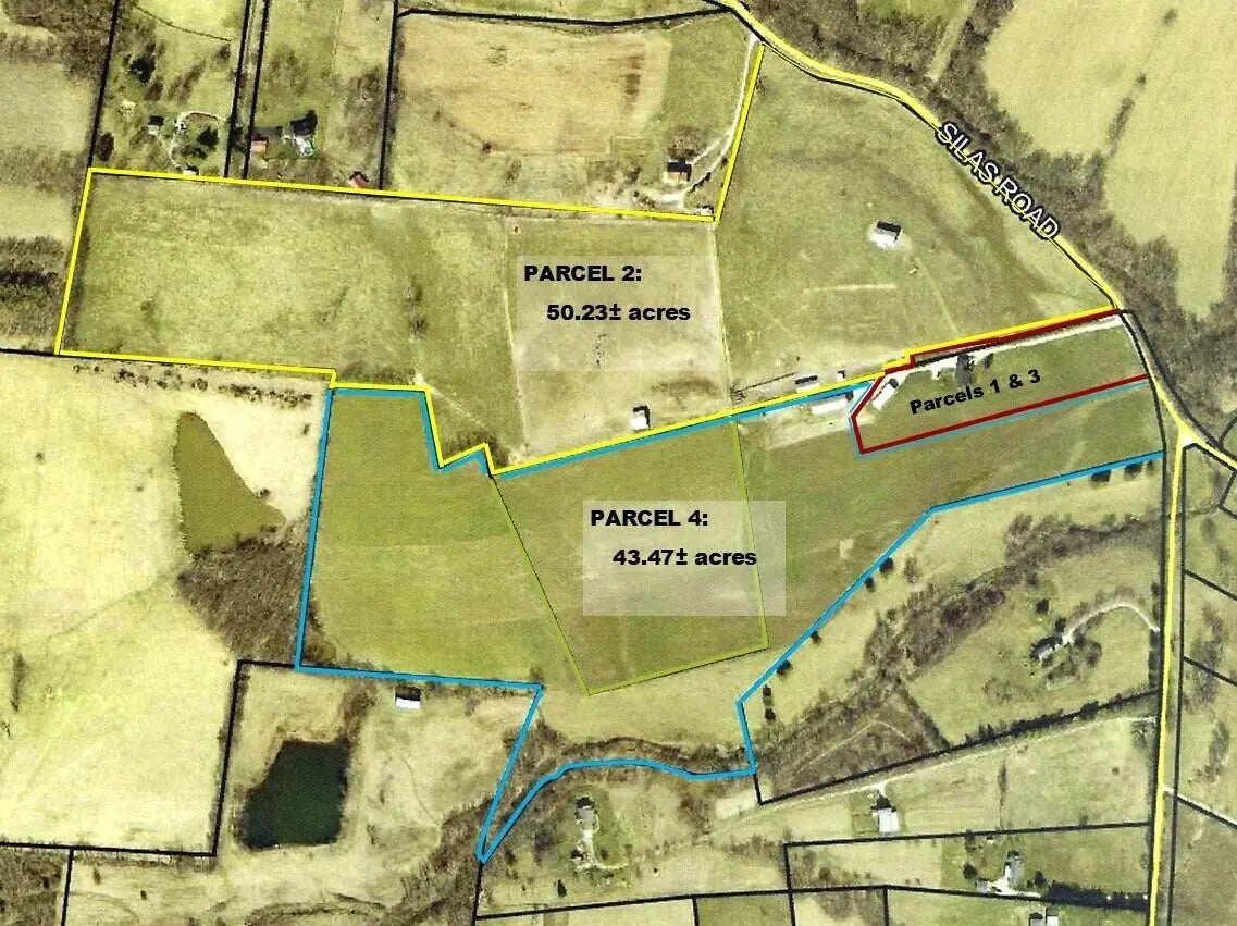 Photo of Listing #25016065