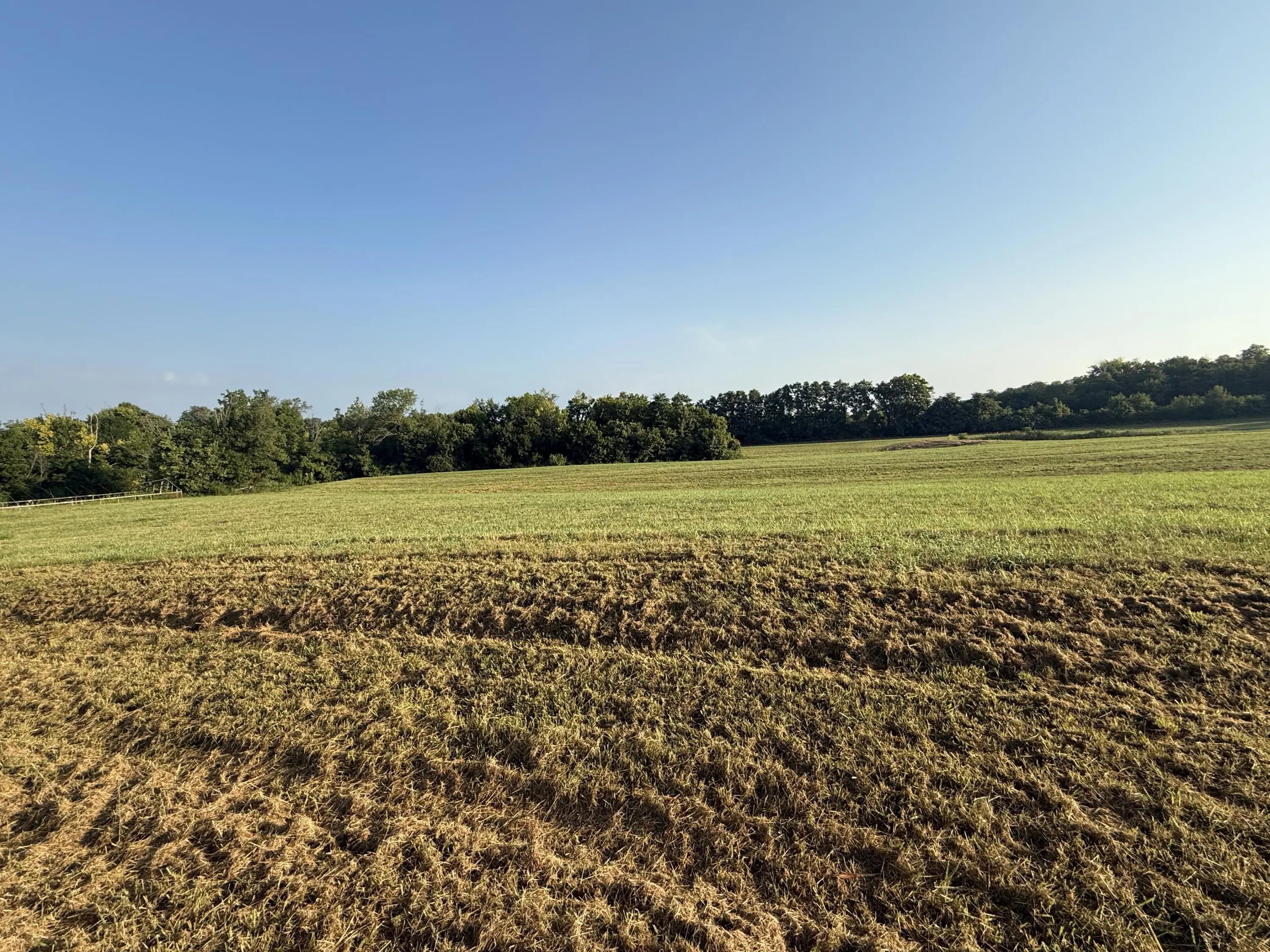 Photo of Listing #25017188