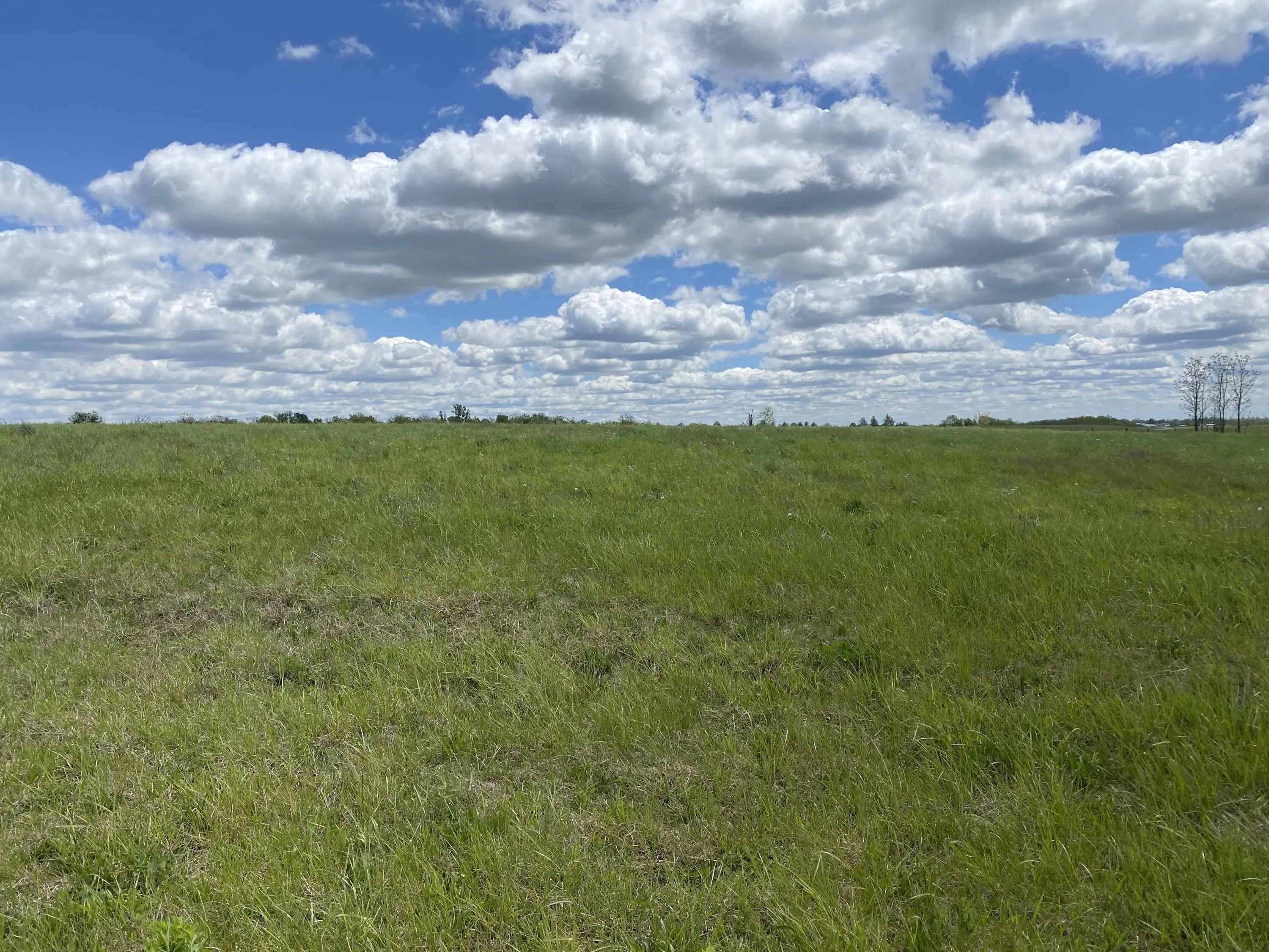 Photo of Listing #25017209