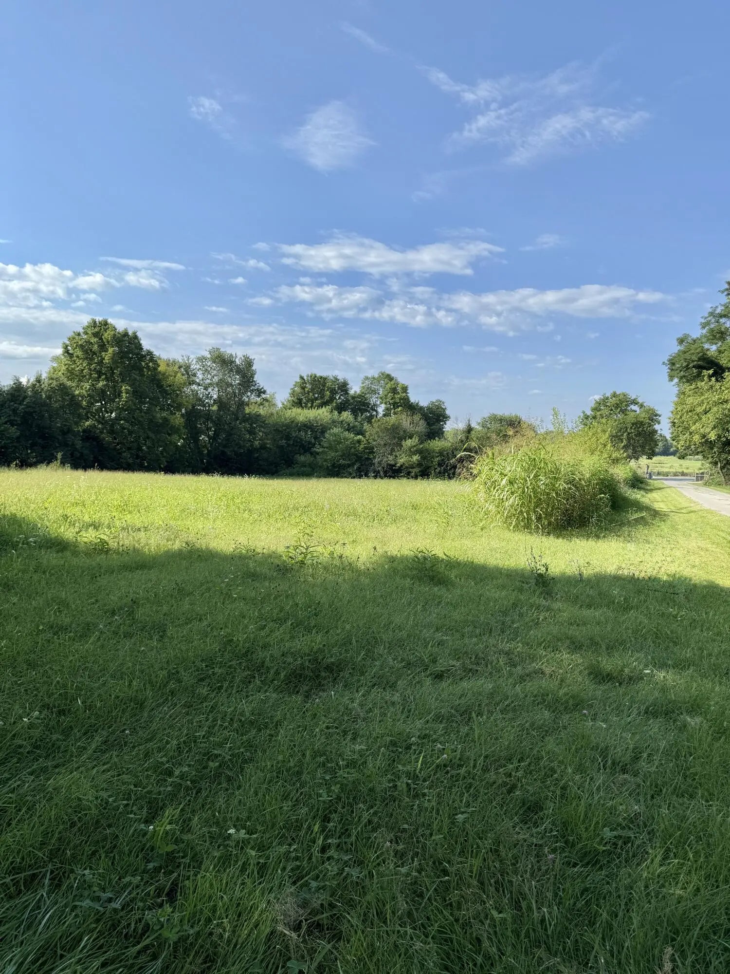 Photo of Listing #25017293