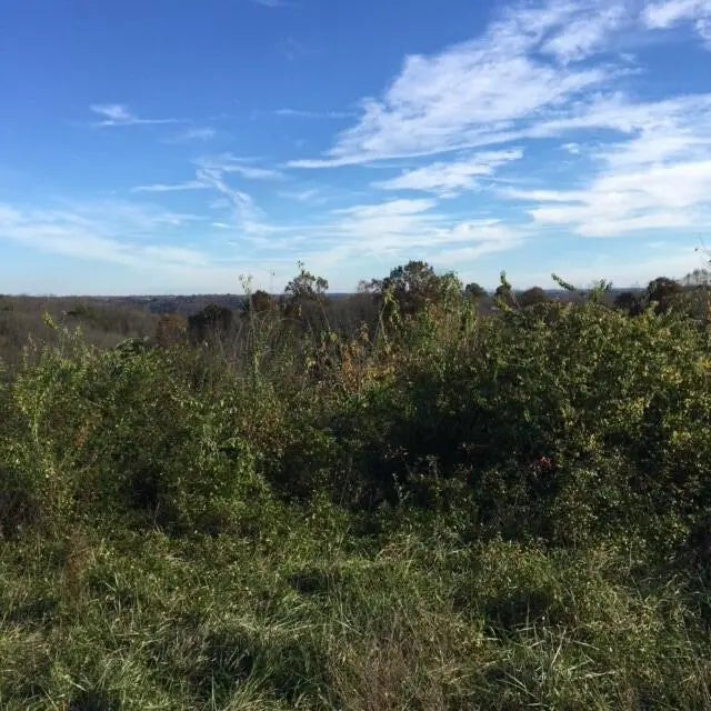 Photo of Listing #25502547