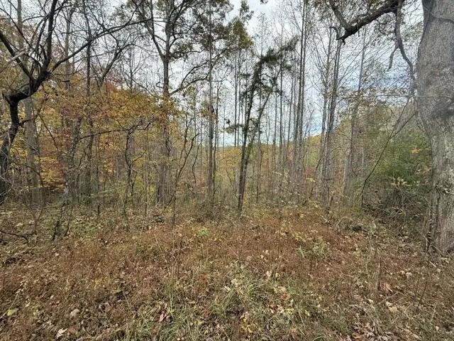 123  Crestmont-hales Ridge, Beattyville