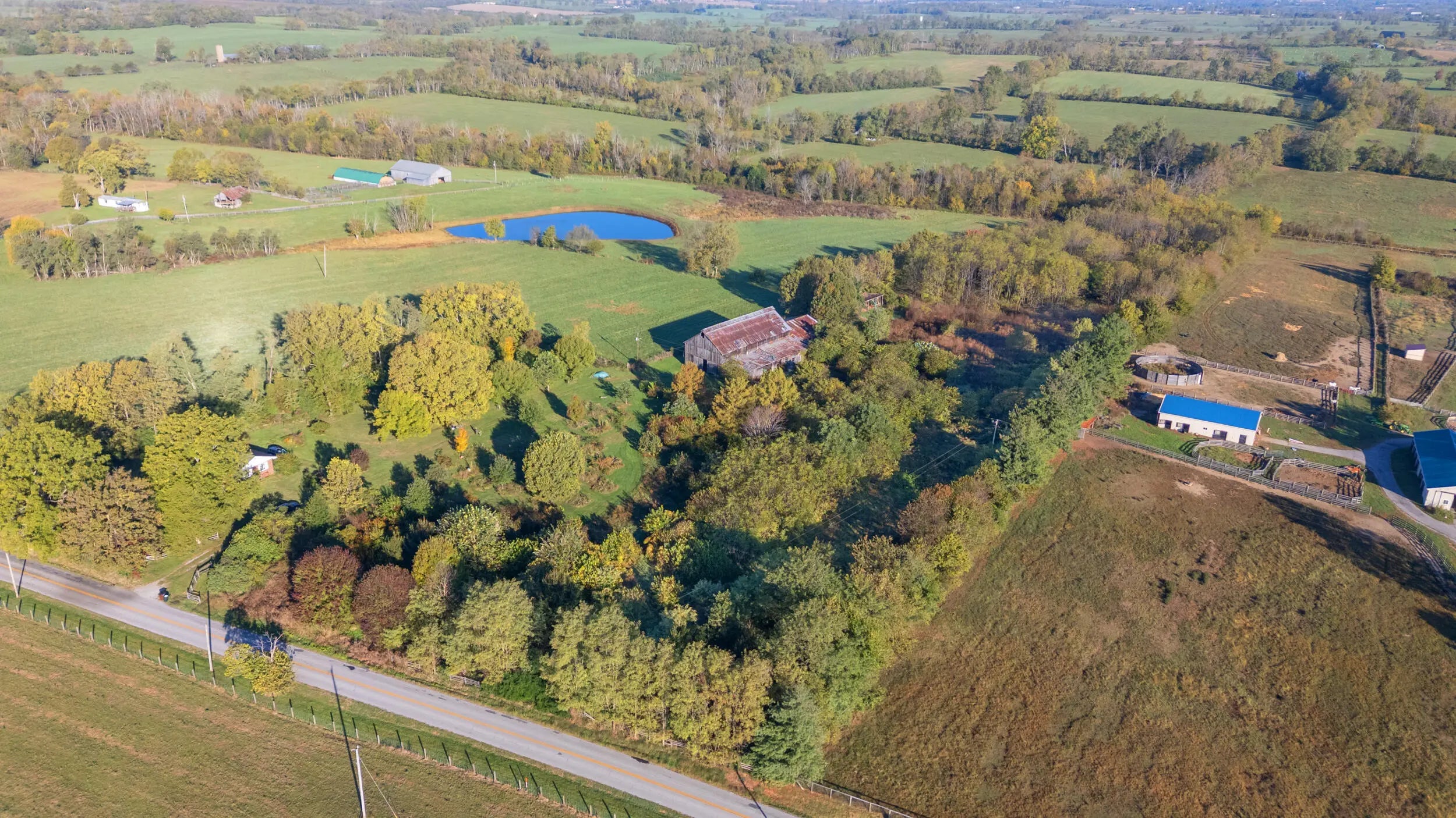 Photo of Listing #25503960