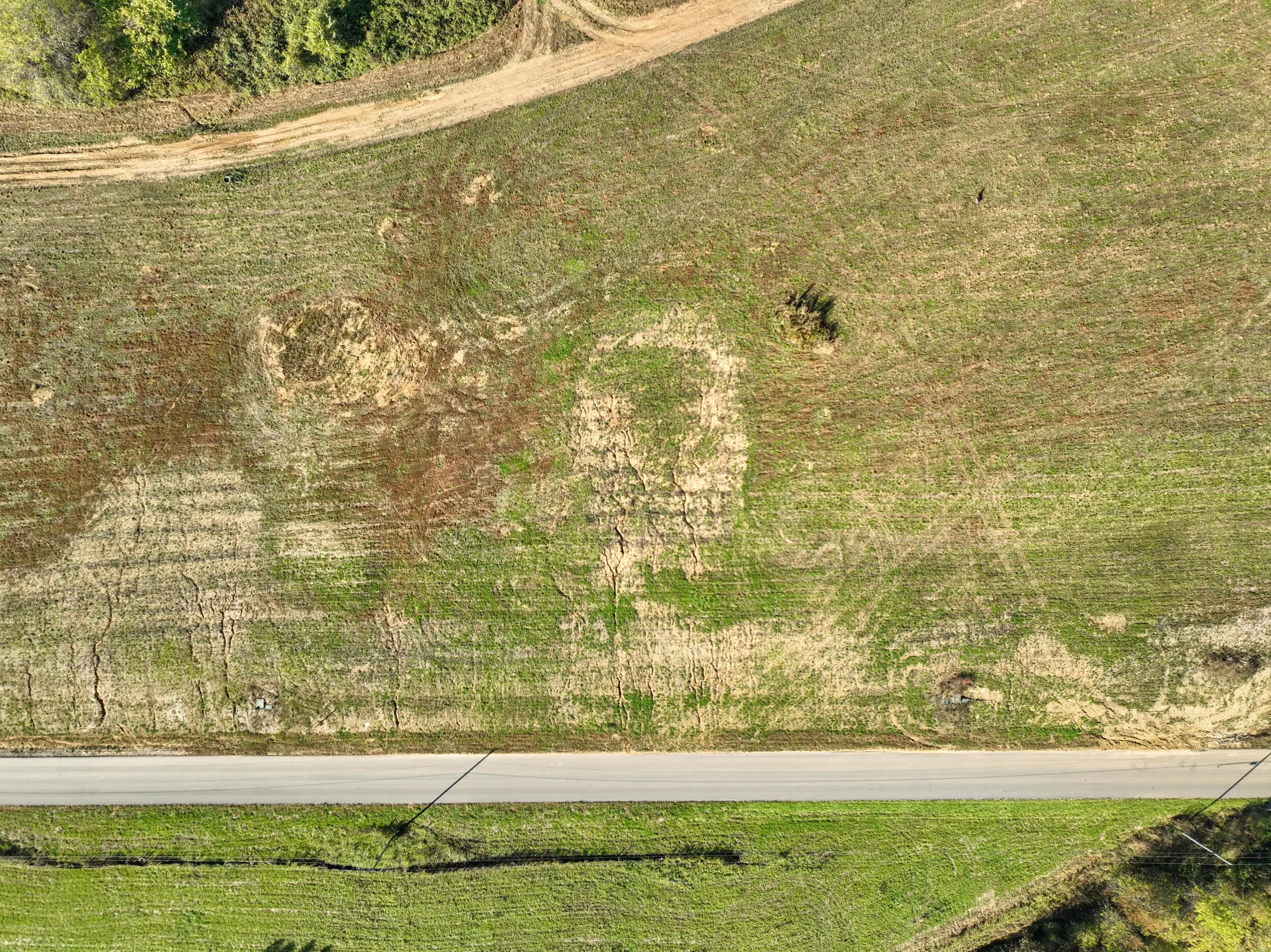 Photo of Listing #25504339