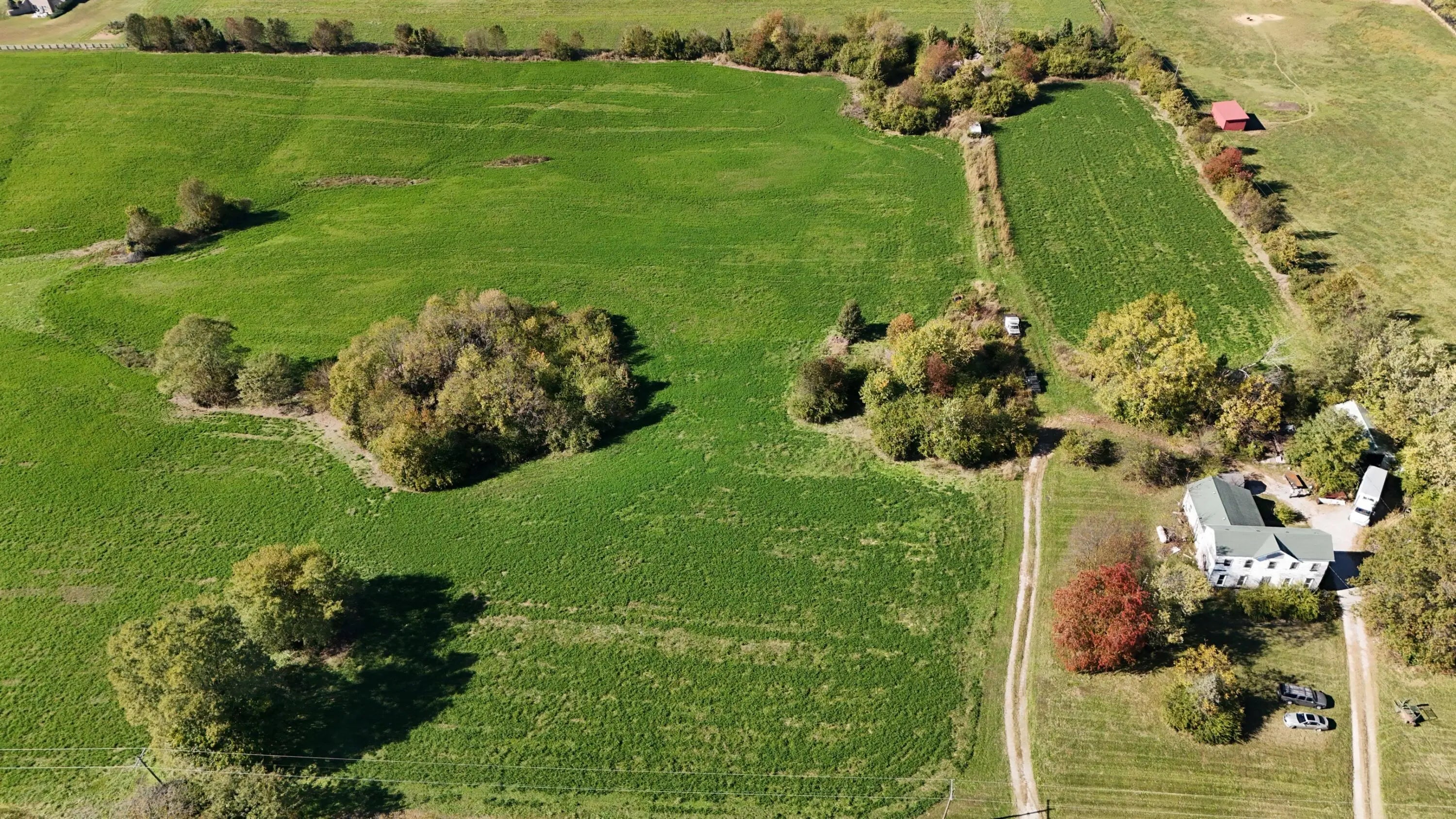 Photo of Listing #25504896