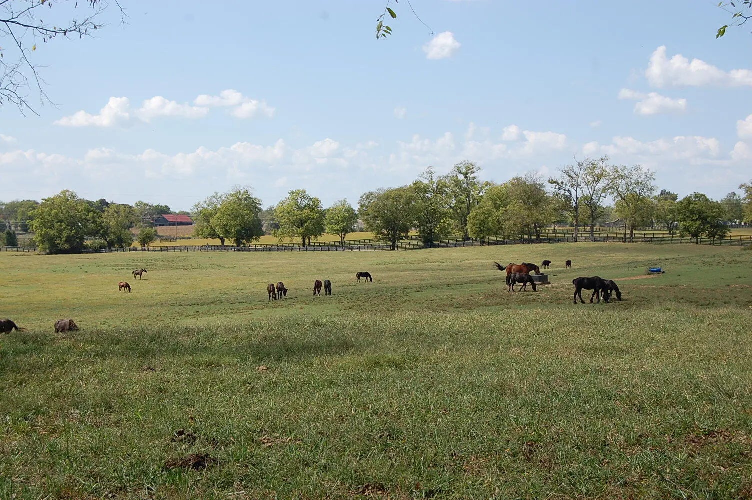 Photo of Listing #25504478