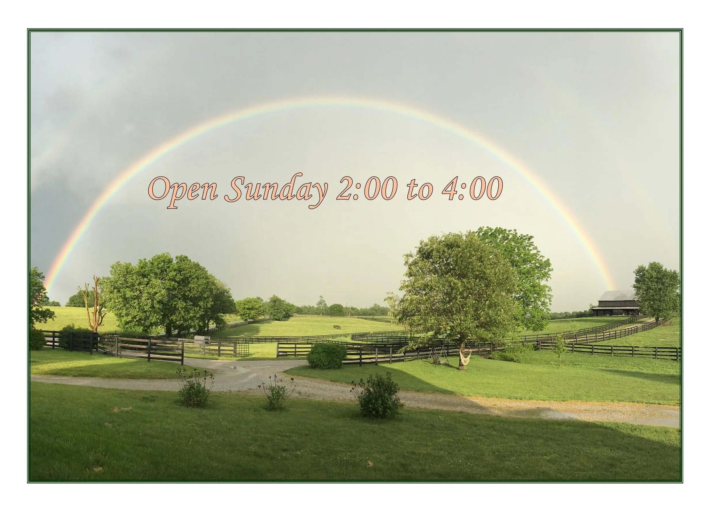 Photo of Listing #25504632