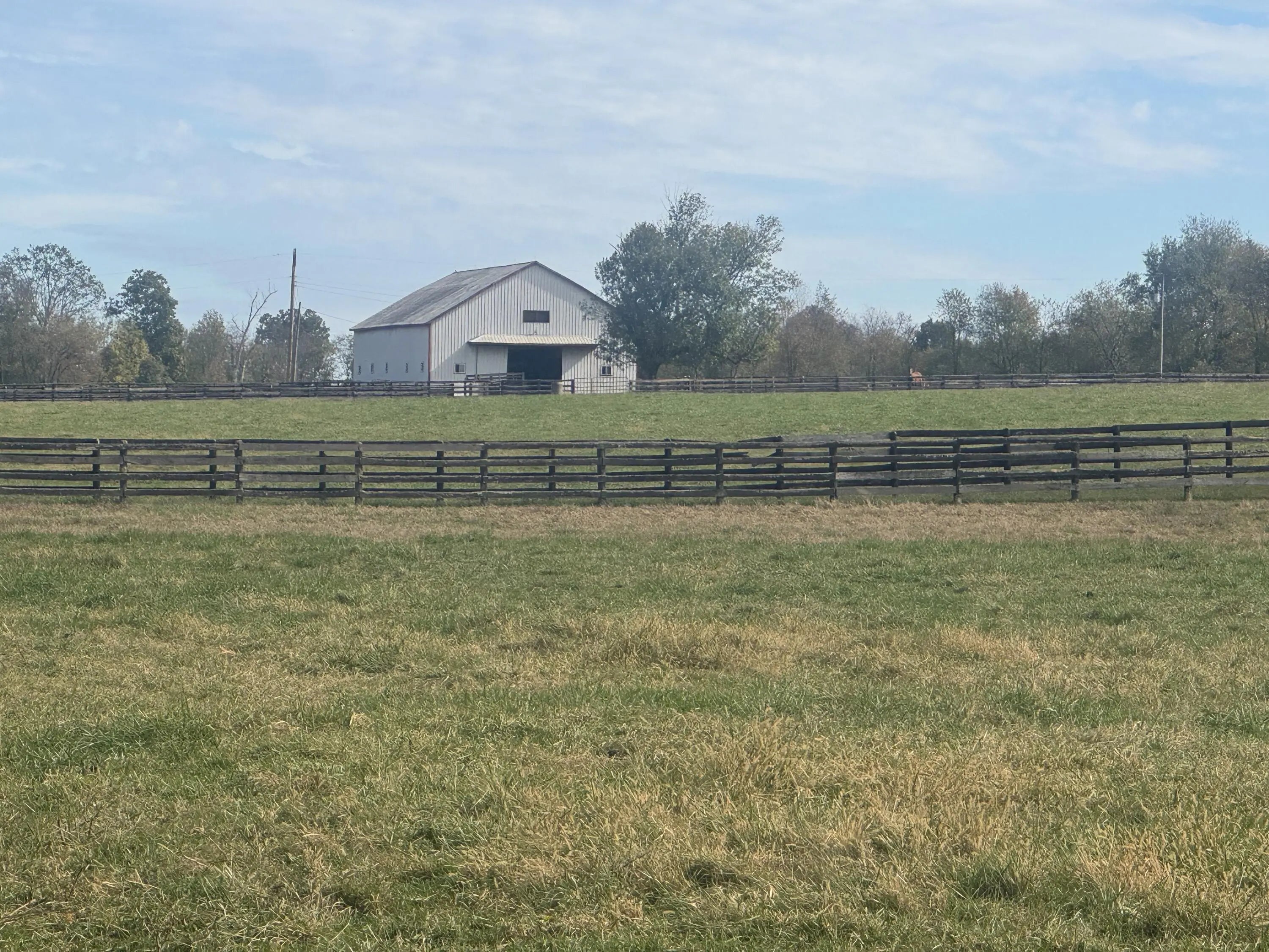 Photo of Listing #25504784
