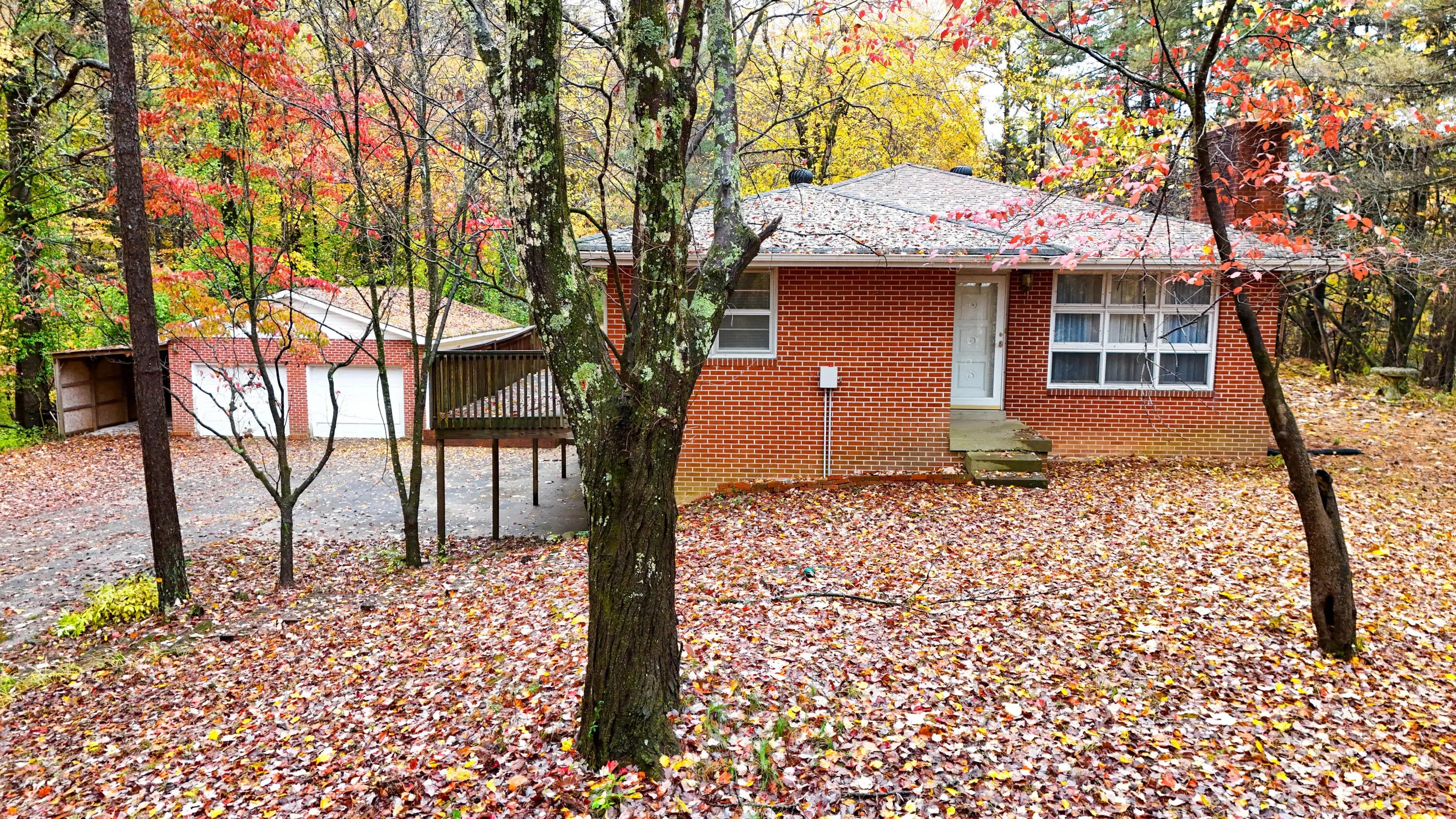 Photo of Listing #25505069