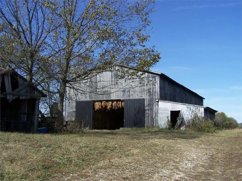 Photo of Listing #25505354