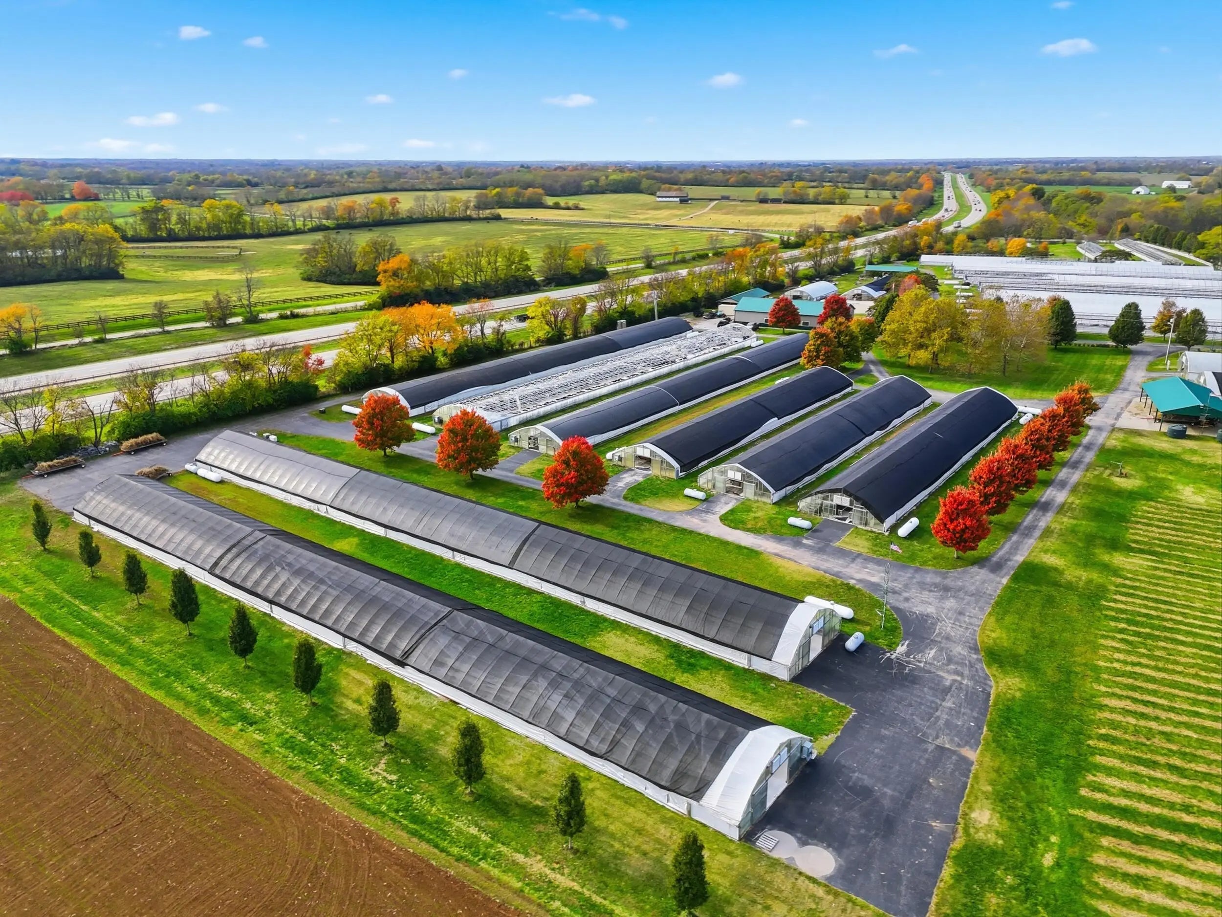 Photo of Listing #25505468