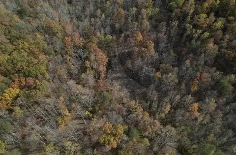 2159 Narrow Gap Road, Crab Orchard