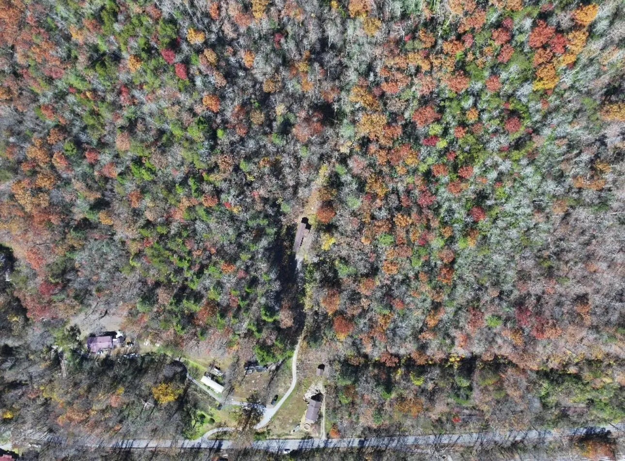 Photo of Listing #25505647