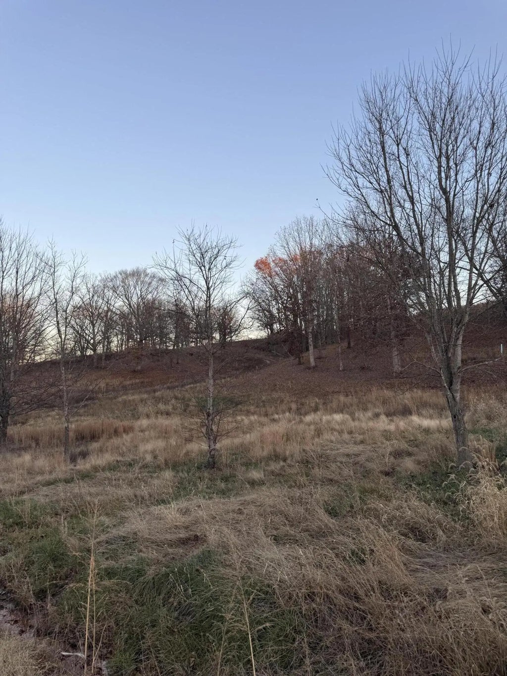 12541 Ironworks Road, Winchester