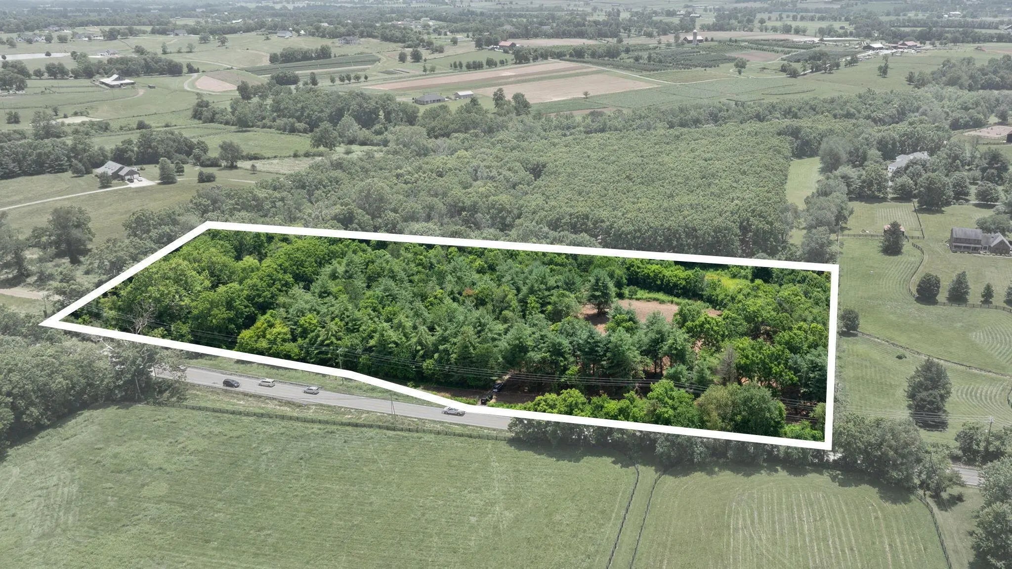 Photo of Listing #25506605