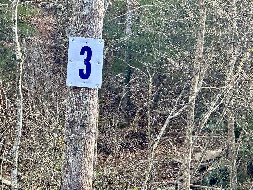 Lot 3 Radford Road, East Bernstadt