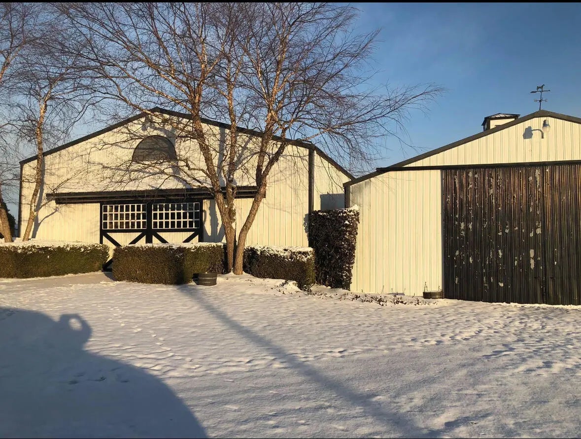 Photo of Listing #25507508