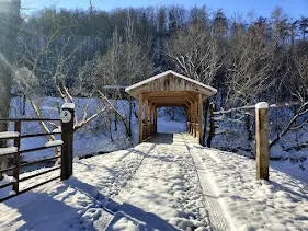 Photo of Listing #25507973