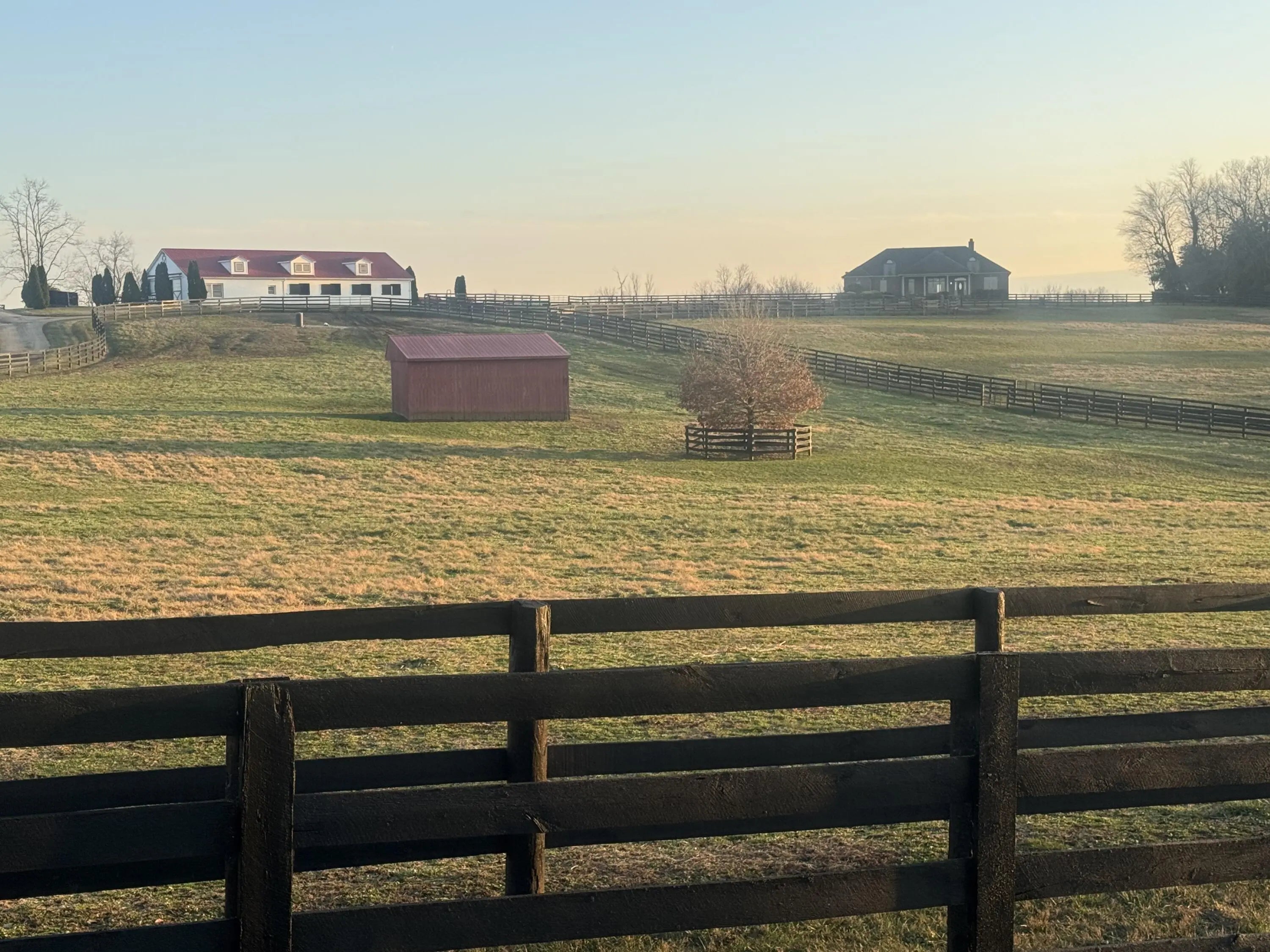 Photo of Listing #25507842