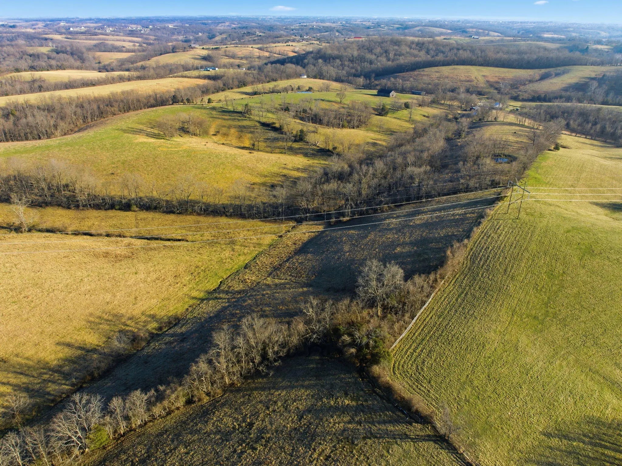 Photo of Listing #25508526