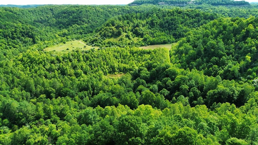 3800a Butcher Hollow Rd, Van Lear
