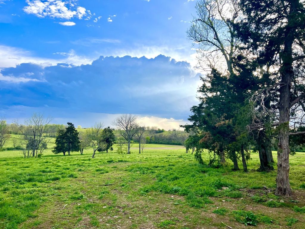 101 Fresian Court Lot 6, Wilmore