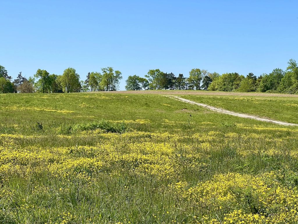 401 Appaloosa Trail Lot 17, Wilmore