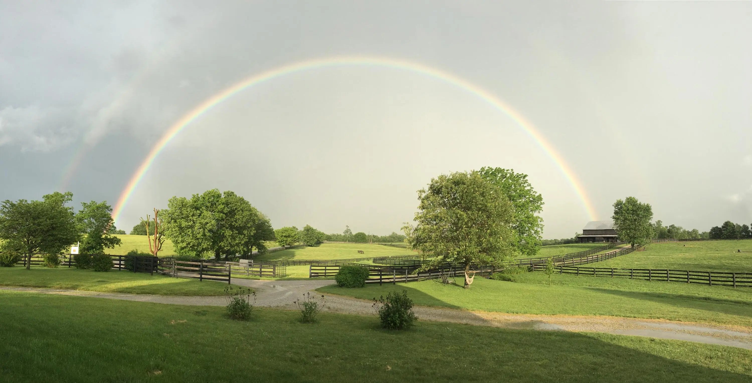 Photo of Listing #26002250