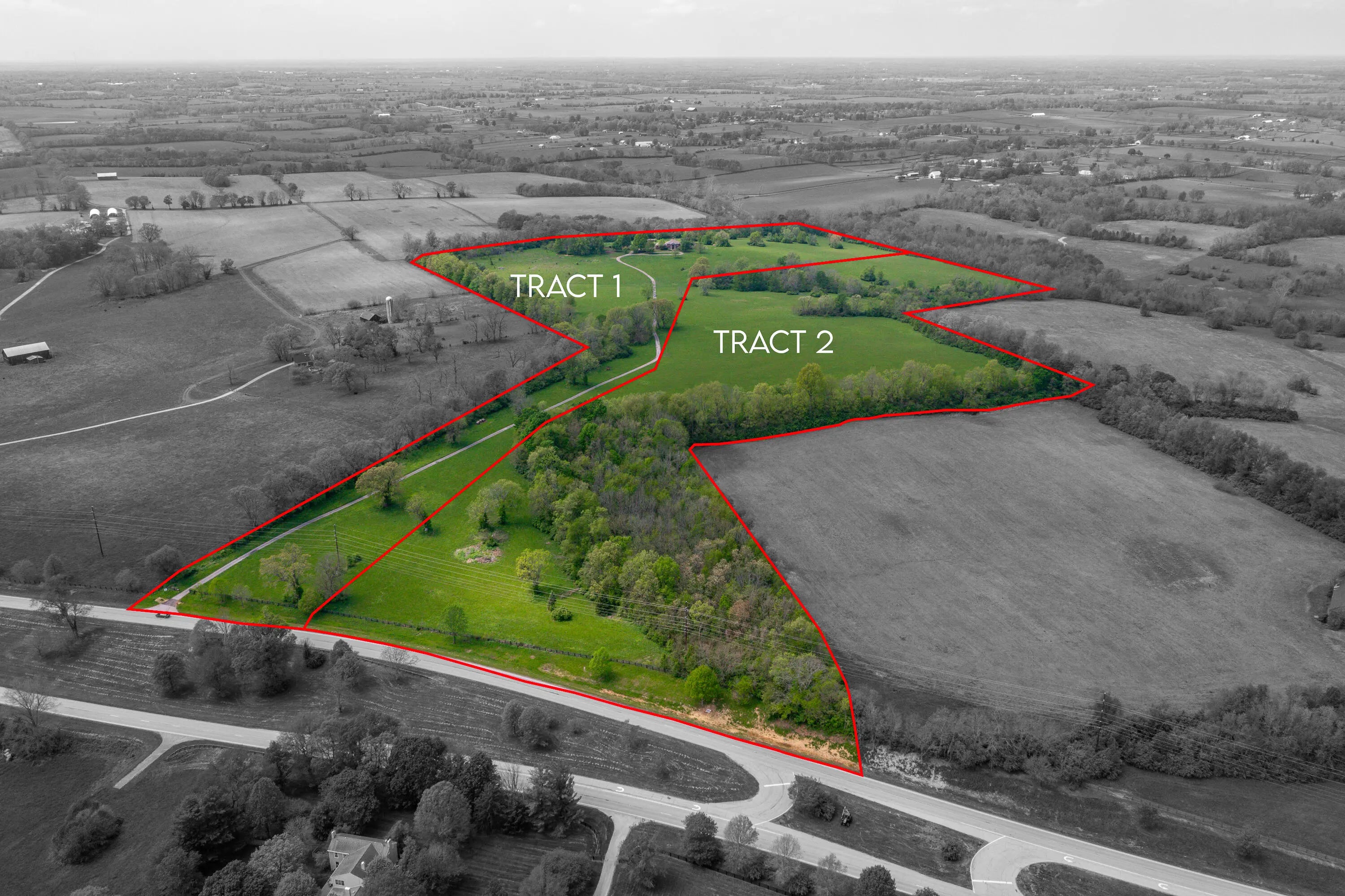 Photo of Listing #26003249