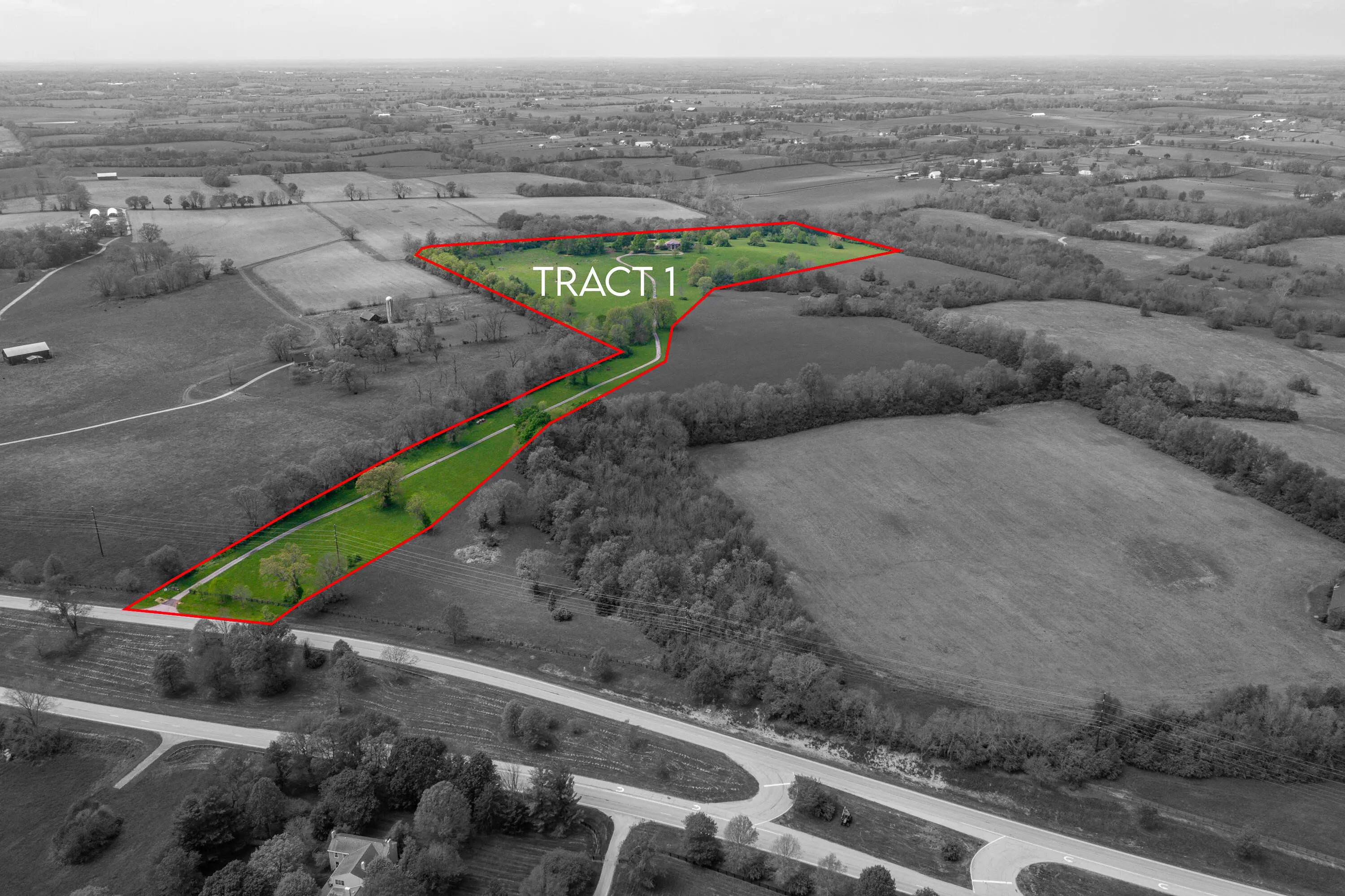 Photo of Listing #26003269