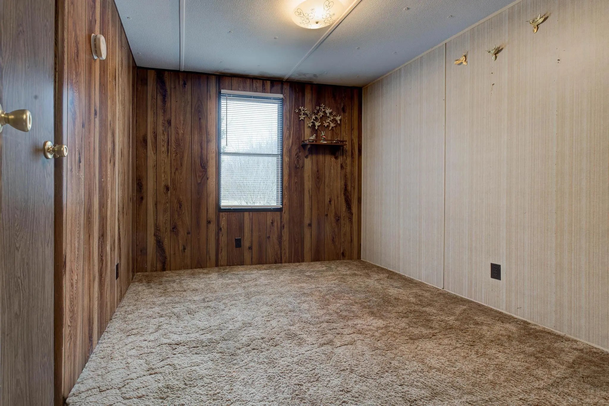 Photo of Listing #26003503