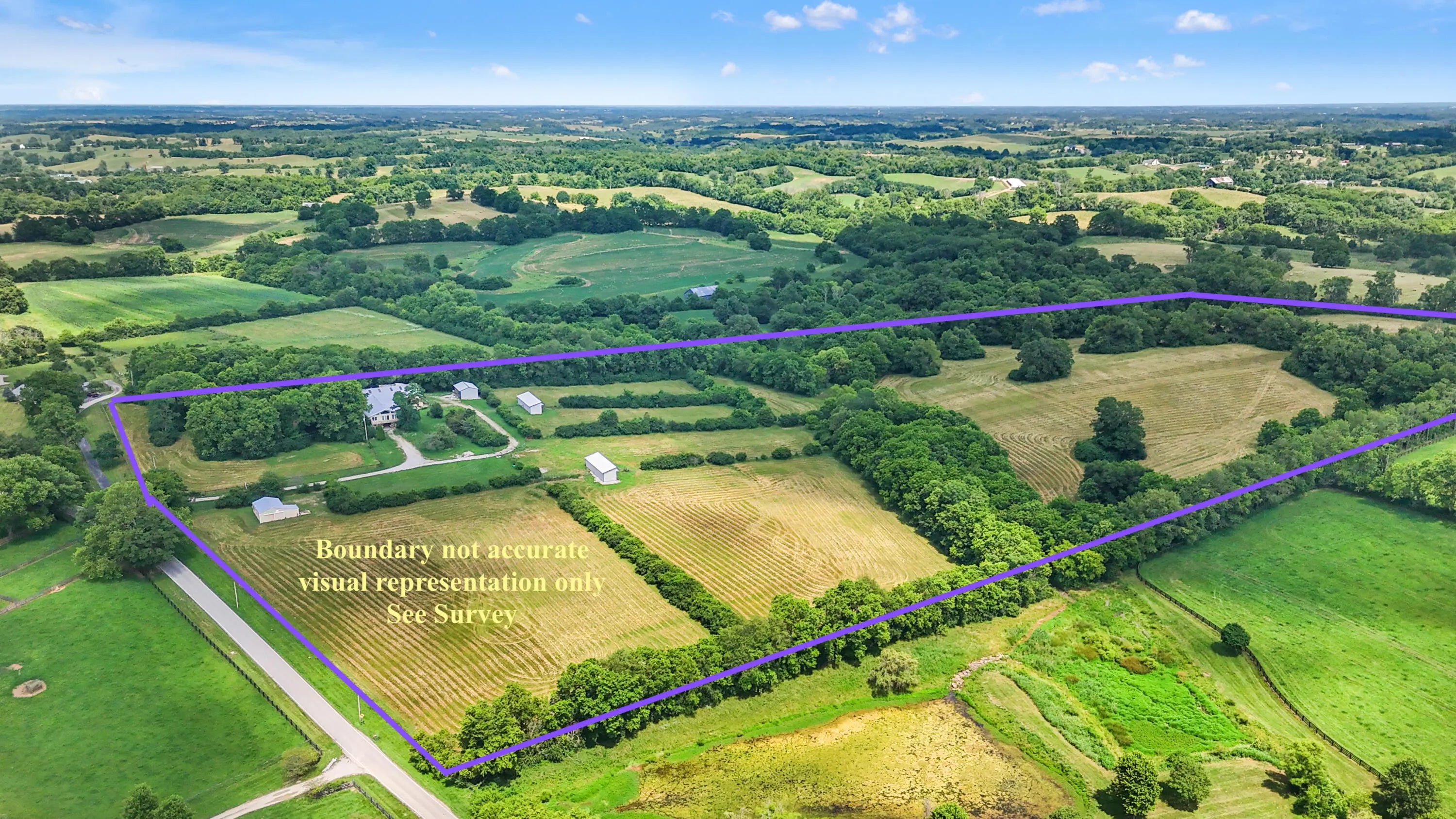 Photo of Listing #26003656