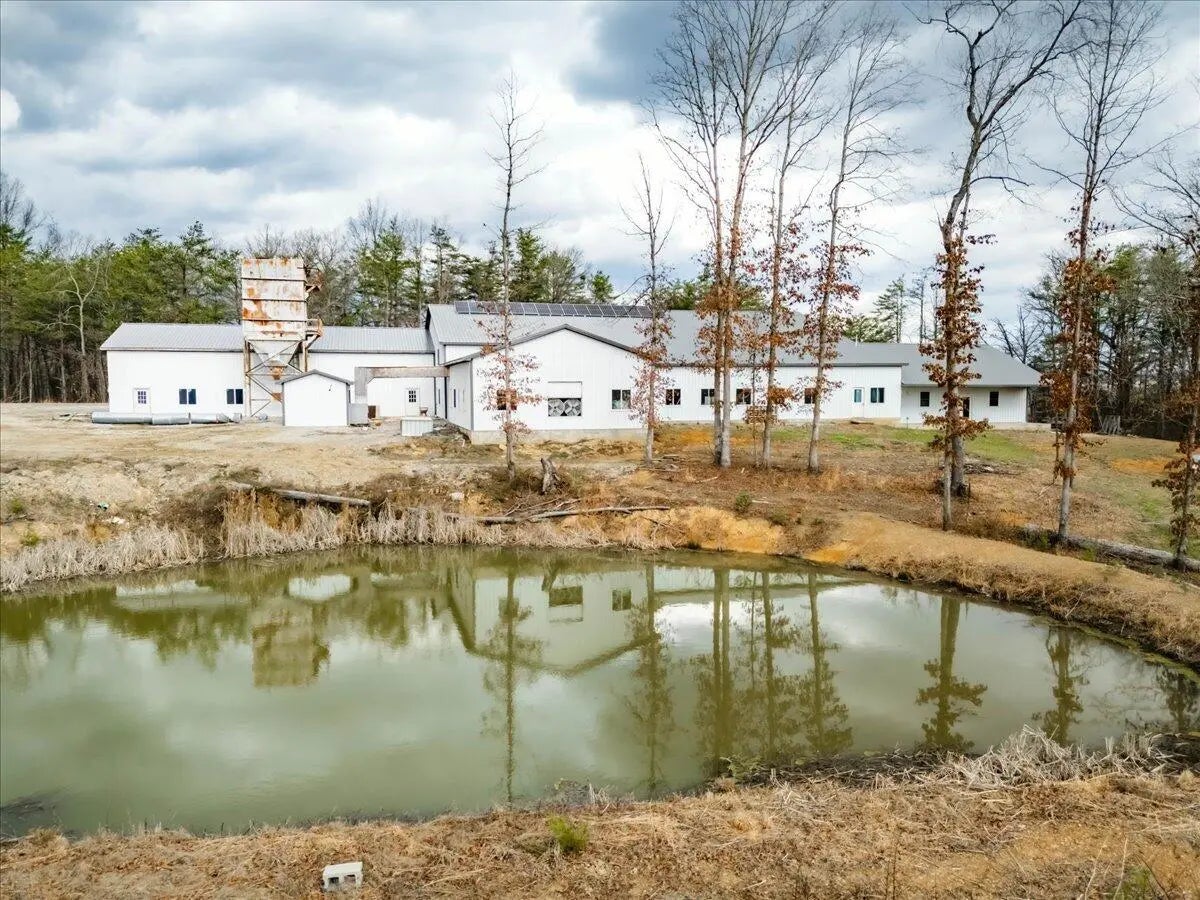 Photo of Listing #26004550