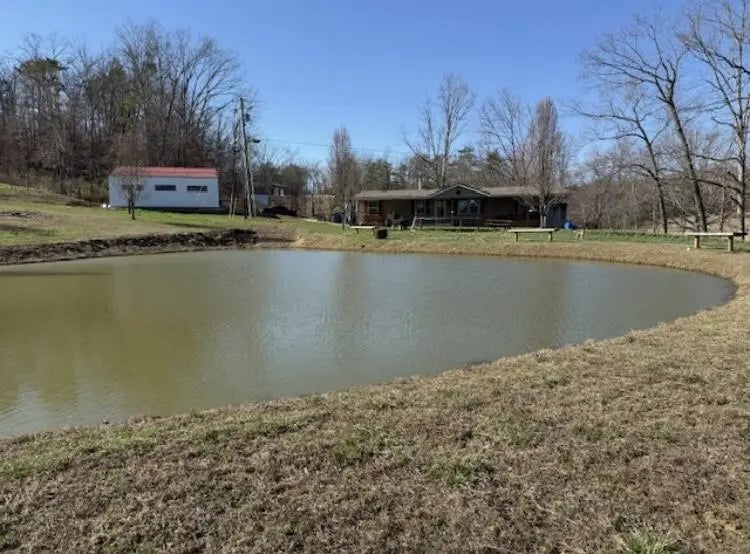 Photo of Listing #26005414