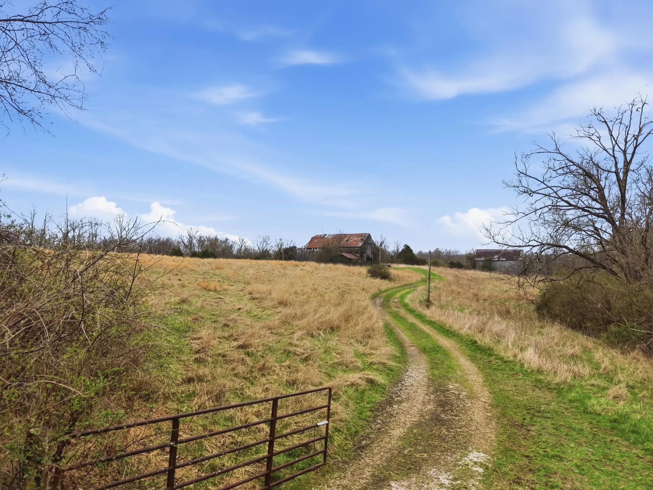 Photo of Listing #26004674