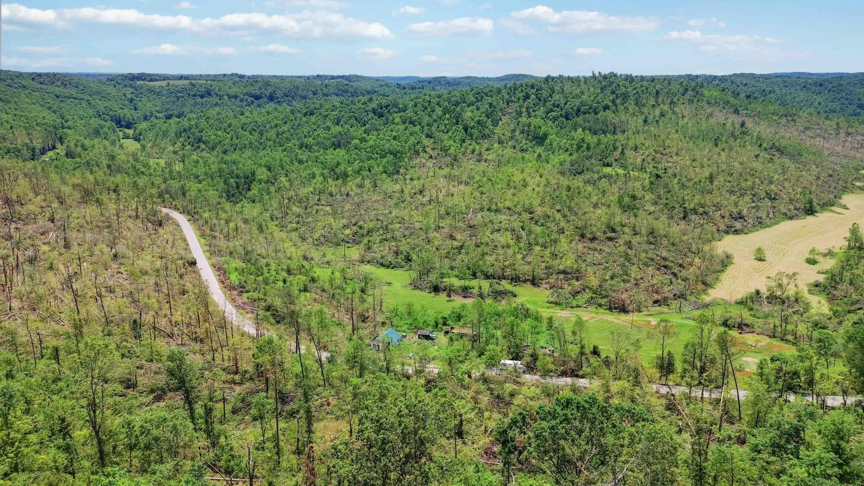 Photo of Listing #26004731