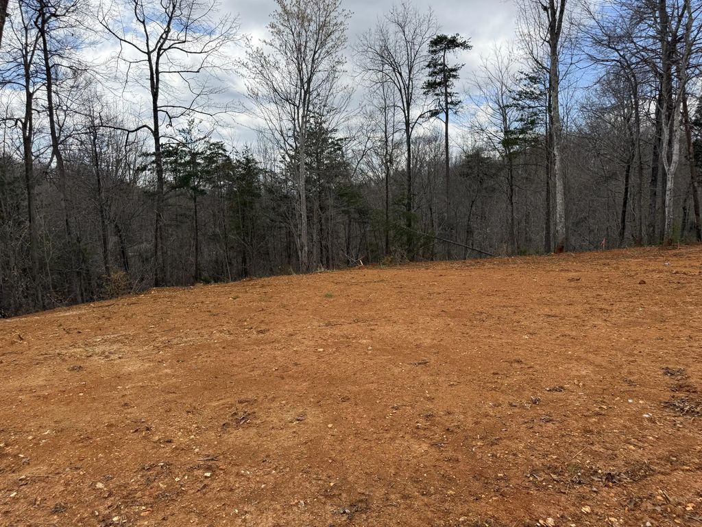 Lot 3 Phase 2 Stearns Hollow Road, Monticello