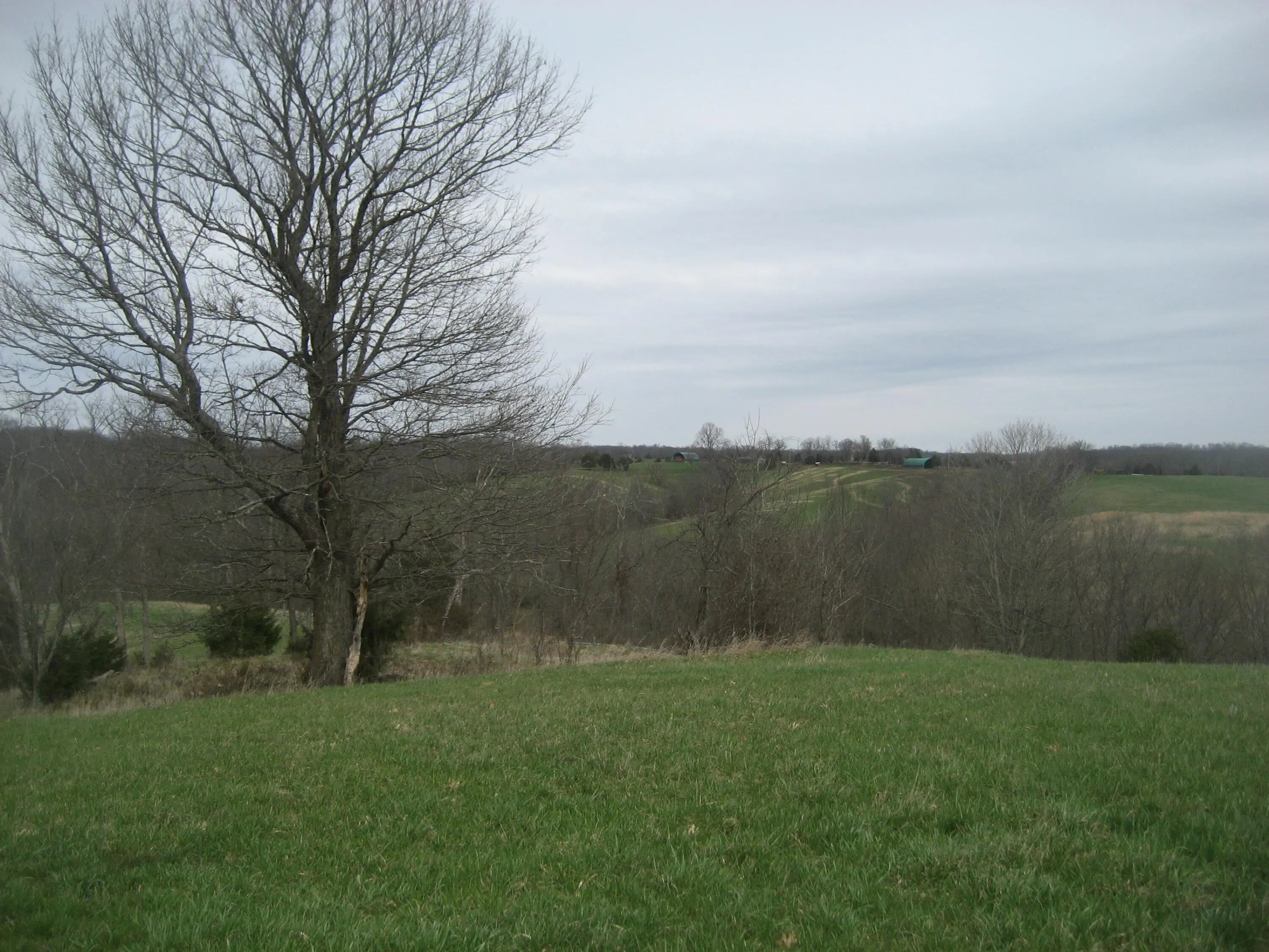 Photo of Listing #26005920