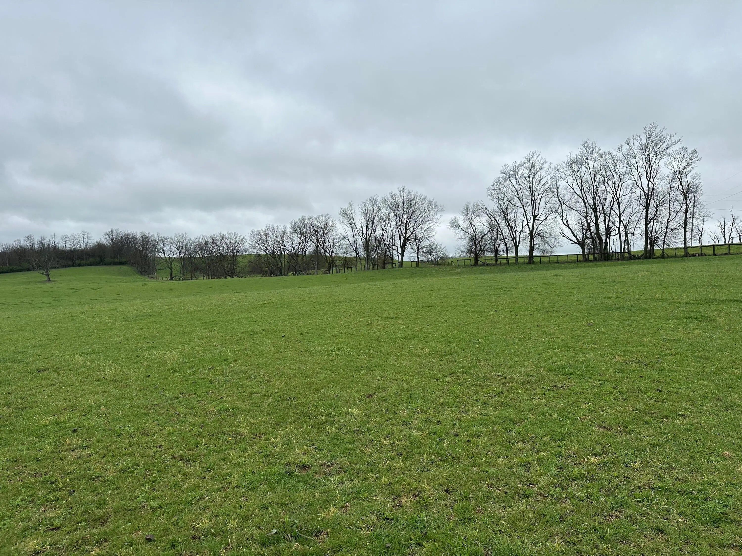 Photo of Listing #26006262