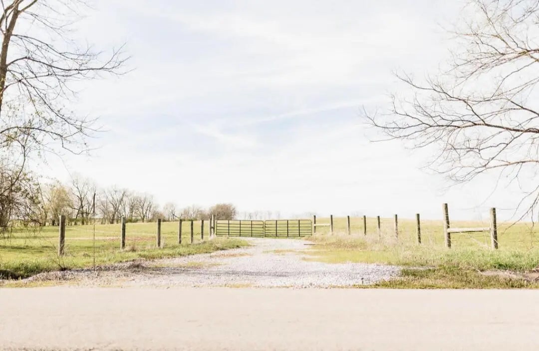 Photo of Listing #26006629