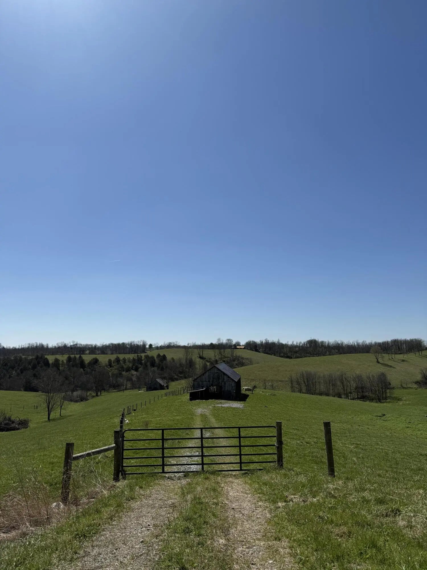 Photo of Listing #26006779