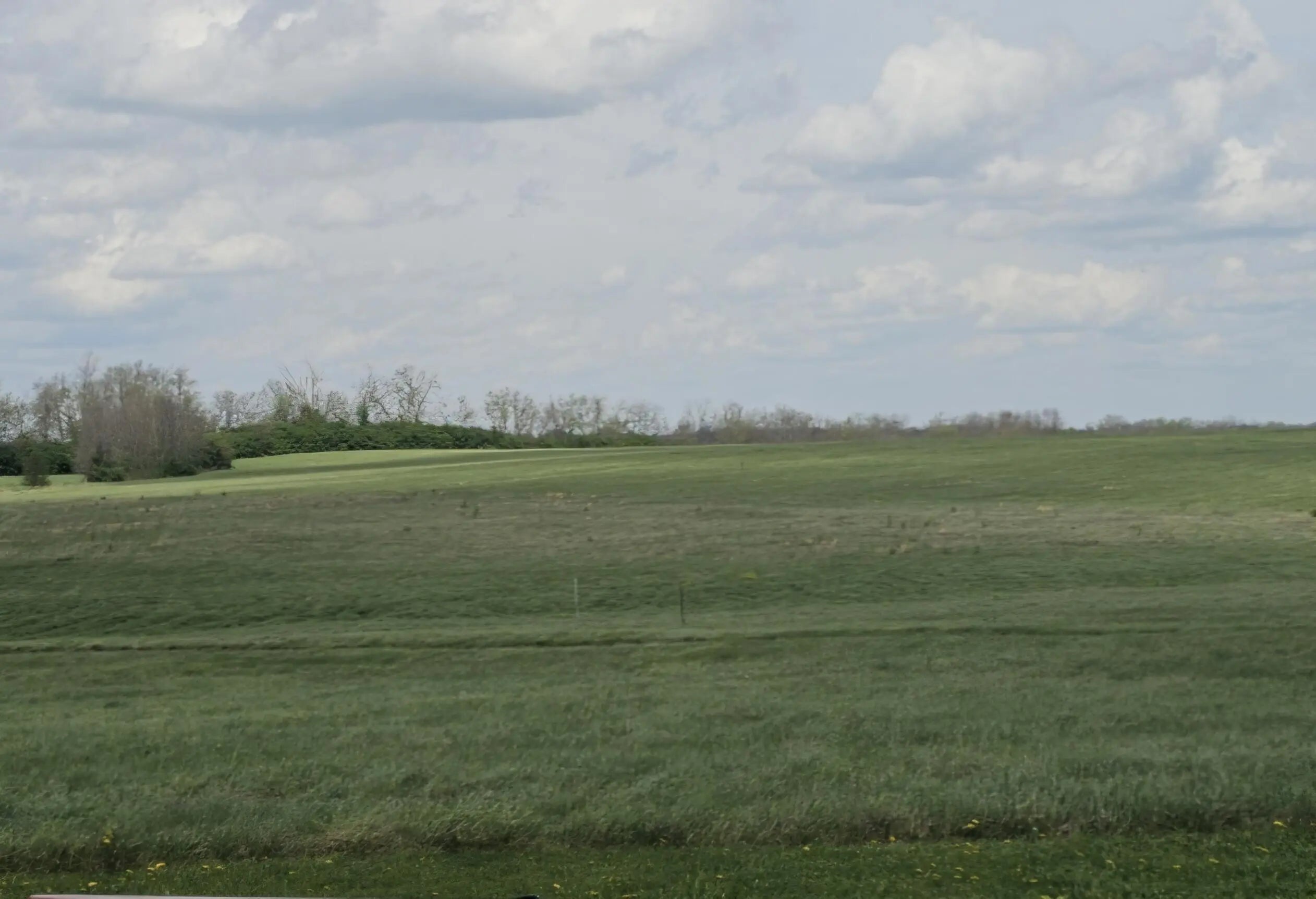 Photo of Listing #26007119