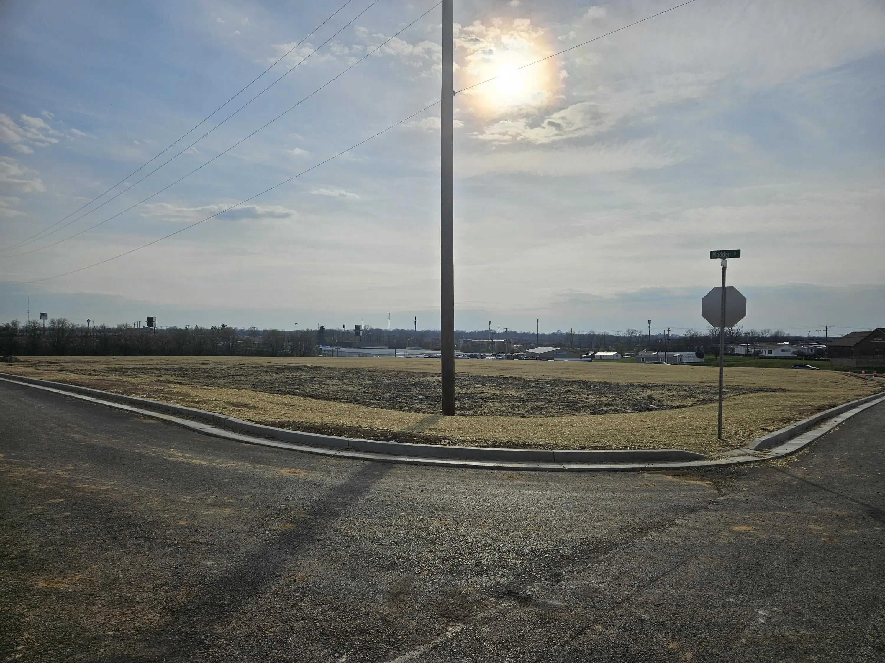 Photo of Listing #26007007